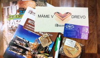 Deň otvorených dverí na Drevárskej fakulte TU vo Zvolene