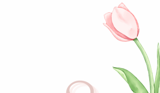 8. MAREC - MEDZINÁRODNÝ DEŇ ŽIEN