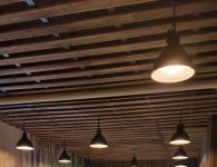 Hostia zo Švédska na Drevárskej fakulte TU vo Zvolene