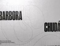 Úspech študentky Drevárskej fakulty v súťaži Národní cena za studentský design 2025!